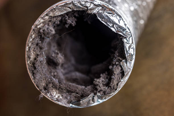 Best Residential Air Duct Cleaning in Hoyt Lakes, MN